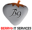 BERRY9-IT-SERVICES-PRIVATE-LIMITED.png